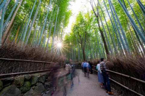 Visitors on their way through bamboo forest, long exposure, towering bamboo stems in Arashiyama