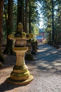 Toro stone lantern on a cedar alley with a view of Grand Torii Gate, Kitaguchi-hongu Fuji Sengen