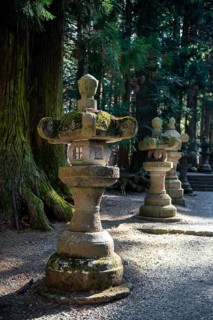 Toro stone lanterns on cedar alley, Kitaguchi-hongu Fuji Sengen Shrine, Shinto Shrine, Fujiyoshida,