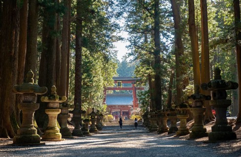 Cedar Alley and Toro Stone Lanterns with a View of Grand Torii Gate, Kitaguchi-hongu Fuji Sengen