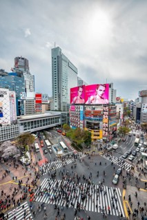 Modern houses with colorful neon signs and large road intersection, Shibuya Crossing from above,