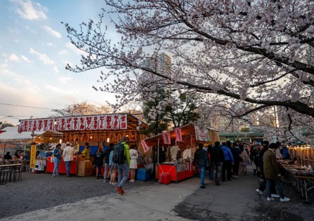 Food stalls with Japanese food, cherry blossom in spring, Hanami Festival, Ueno Park, Taito City,