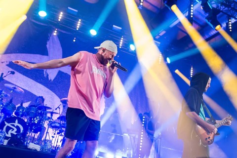 Mal Élevé (Pablo Charlemoine) and Carlito (Carlos Charlemoine), singer of Irie Révoltés live on