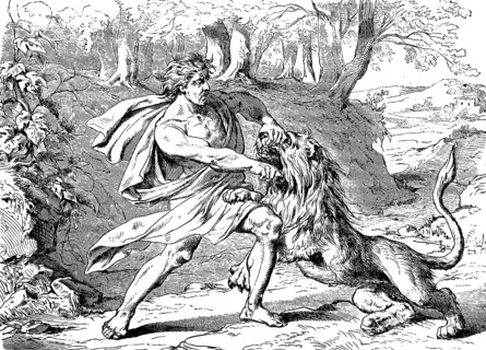 Samson fighting with the lion, vineyards in Thimnath, book of judges, chapter 14, Spirit of the