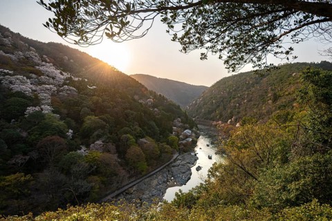 Hilly Landscape with River, Blooming Cherry Trees on Katsura River, Sagakamenoocho, Arashiyama,