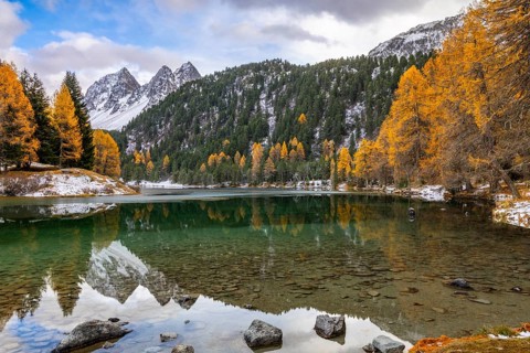 Lake Palpougna, mountain lake, Piz da la Plais, Tschimels, mixed forest with larches (Larix) in