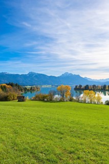 Wide landscape with green meadow, Forggensee, surrounded by mountains and autumn trees, near