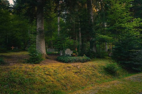 Lonely cemetery in deep forest with a grave surrounded by tall vegetation and trees, Altensteig,