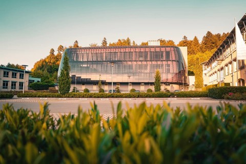 Modern building with glass façade in green surroundings, warm sunlight on the trees, Altensteig,