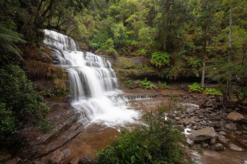 Liffey Falls with heavy water flow, ferns and moss-covered rocks in Liffey Falls State Reserve,