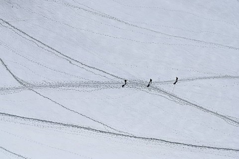 A group of mountaineers runs across a snow-covered mountain, Aiguille du Midi, Chamonix-Mont-Blanc,