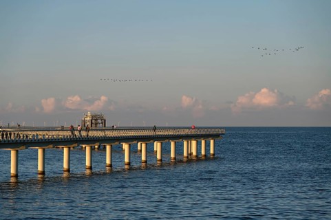 New 720-meter long pier in Prerow opened since October 2024, flying cranes (Grus grus) in the