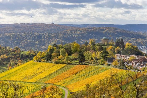 View of the vineyards and the grave chapel in Württemberg from the Egelseer Heide. Autumn-colored