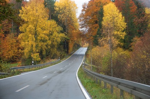 Mixed forest in autumn colors in Franconia on the B2 Nuremberg-Bayreuth, Upper Franconia, Bavaria,