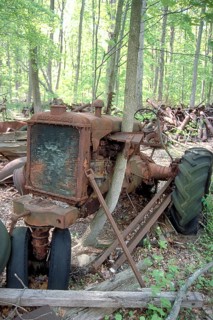 Rusted American Allis-Chalmers tractor around 1900, crossed by a tree, dumped in a wooded area,