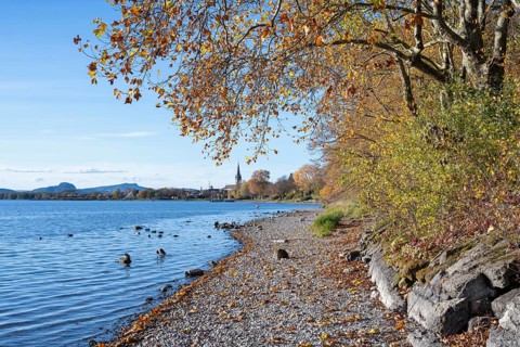 Gravel shore, pebble beach, Lake Constance shore at Mettnaupark near Radolfzell am Lake Constance,