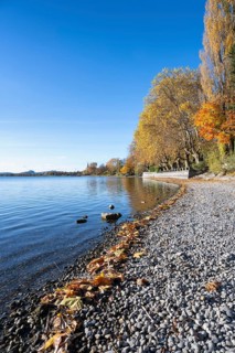 Gravel shore, pebble beach, Lake Constance shore at Mettnaupark near Radolfzell am Lake Constance,