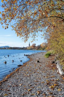 Gravel shore, pebble beach, Lake Constance shore at Mettnaupark near Radolfzell am Lake Constance,