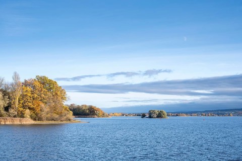 View of Lake Constance with Love Island, surrounded by autumn vegetation, on the horizon the island