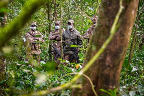 Soldiers, rangers in the jungle, guarding chimpases in the jungle, animal welfare, Kibale National