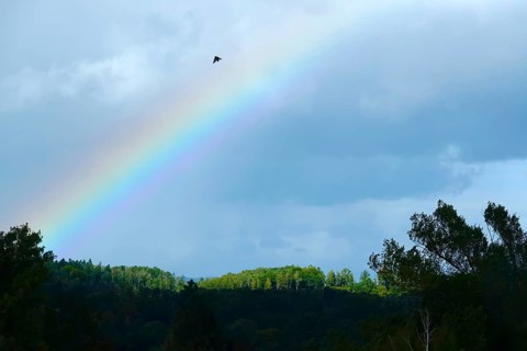 Rainbow, autumn time, Germany