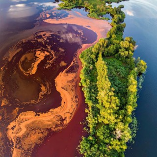 Red algae plant on the lake. abstract ecology nature concept, wild landscape with vibrant red