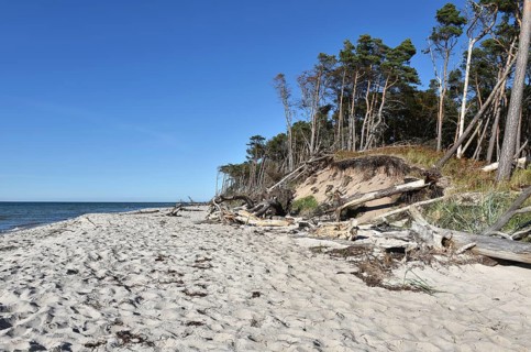 The west beach on the Darß peninsula on the Baltic Sea, Mecklenburg-Western Pomerania, Germany