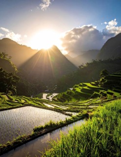 Early morning light bathes Philippines rice terraces cascading down mountain slopes, beautiful