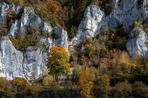 Distinctive Jurassic limestone cliffs in the upper Danube Valley, surrounded by autumn vegetation,