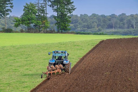 Tractor with plough, agricultural ploughing machine working on a field in autumn, fall in the