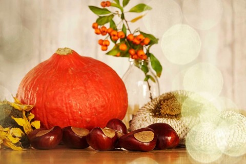 Autumn still life with pumpkin, sunflowers, chestnuts, October, Germany