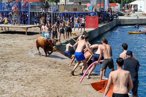 Bous a la Mar Fair, in English Bulls in the Sea, Bullfighting, Javea or Xàbia, Alicante Province,