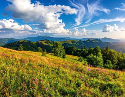 Fresh summer hilly Landscape with blooming Meadow, green plants, Blue Sky with cloudy sky, serene