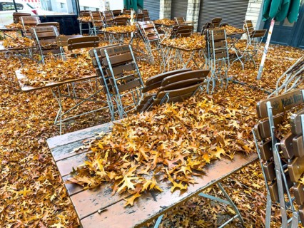 Autumn in town, car parked under deciduous tree, swamp oak, ground and vehicle covered with fallen
