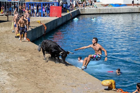 Bous a la Mar Fair, in English Bulls in the Sea, Bullfighting, Javea or Xàbia, Alicante Province,