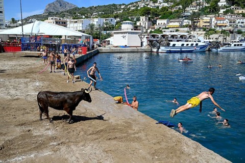 Bous a la Mar Fair, in English Bulls in the Sea, Bullfighting, Javea or Xàbia, Alicante Province,