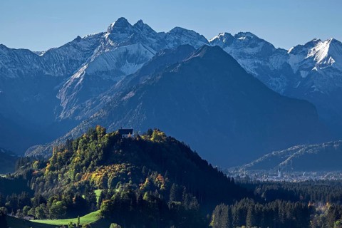 Group of trees with cattle, snow-covered mountains of the Allgäu Alps, near Schöllang, Oberallgäu,