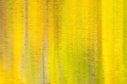 Reflecting autumn colours on the Danube, river, autumn, Danube valley, Upper Danube nature park