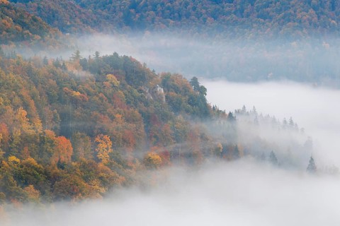View from the Knopfmacherfels into the Danube valley, mixed forest, autumn colours, fog, autumn,
