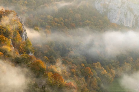 View from the Knopfmacherfelsen into the Danube valley, limestone rock, rock face, mixed forest,