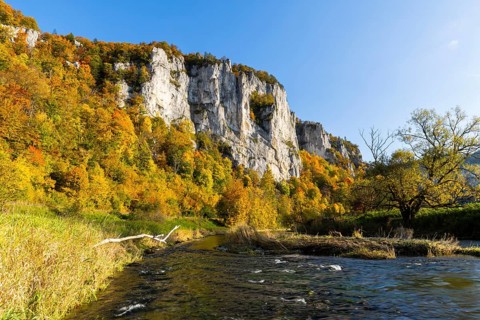 Rock face with mixed forest in autumn colours, limestone rock, Danube, autumn, Schaufelsen