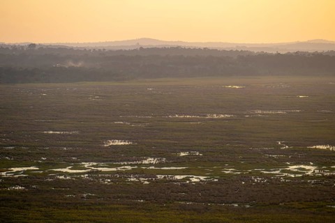 Landscape, Lake Victoria and Mabamba Swamp, Lake Victoria, Uganda