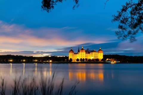 Moritzburg Castle in the blue hour, castle pond, reflection, sunset, common reed (Phragmites