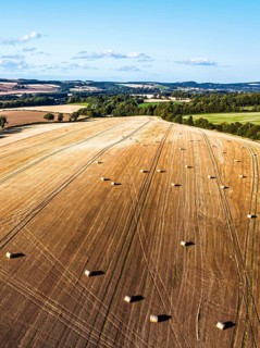 Straw bales in the Scottish fields from a drone, Southeast Scotland, UK