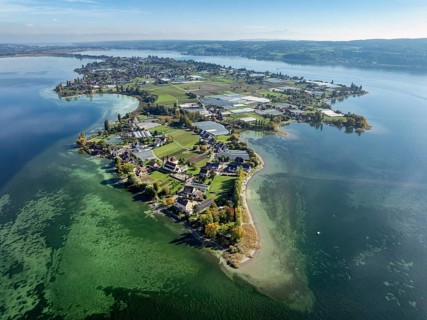 Aerial view of the north-western tip of the island of Reichenau in Lake Constance, with the