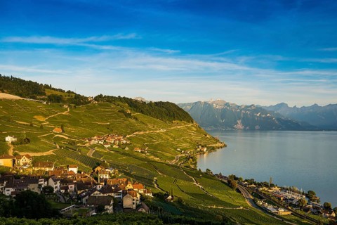 Picturesque village in the vineyards by the lake, Epesses, sunset, Lavaux, UNESCO World Heritage