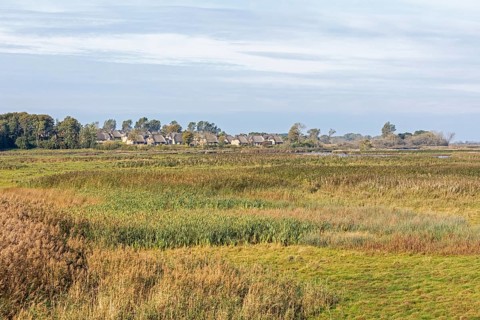 Holiday village Reetdorf Geltinger Birk, Geltinger Birk nature reserve, Geltinger Bucht,