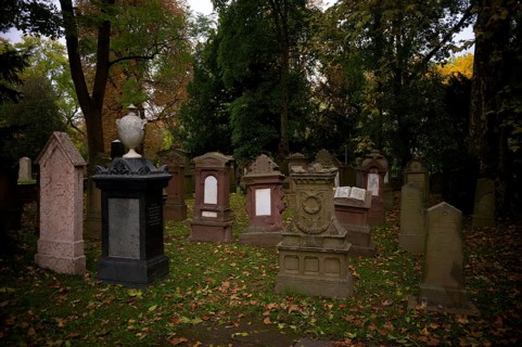 Gravestones, grave, graves, Israelite, Jewish cemetery, Hoppenlauf cemetery, oldest preserved