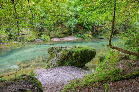 Erlauf Gorge, Purgstall an der Erlauf, Lower Austria, Austria