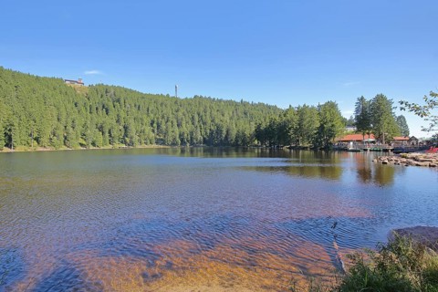 Lakescape with forest and mountain, Karsee, mountain lake, shore, transmission tower, mountain
